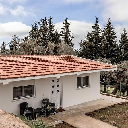 Olive Grove Apartman Bar Kültér fotó