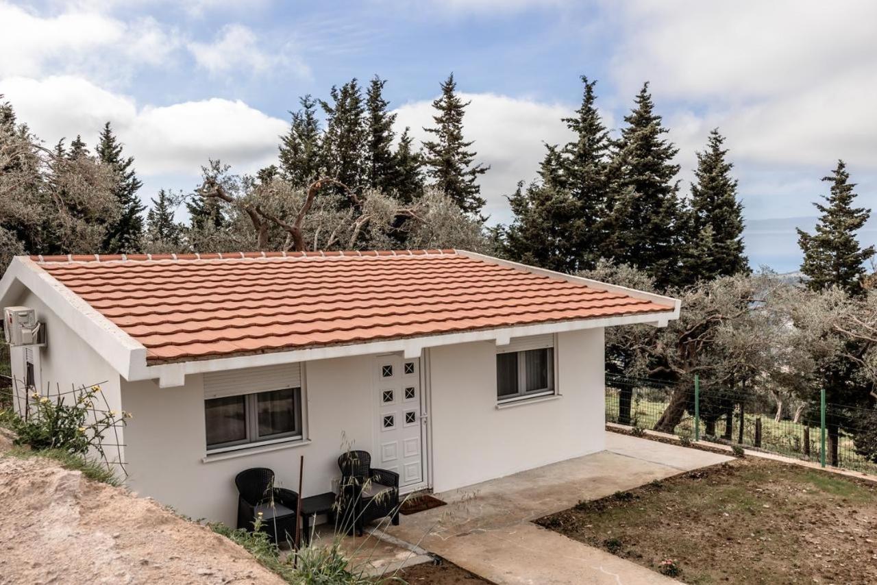 Olive Grove Apartman Bar Kültér fotó